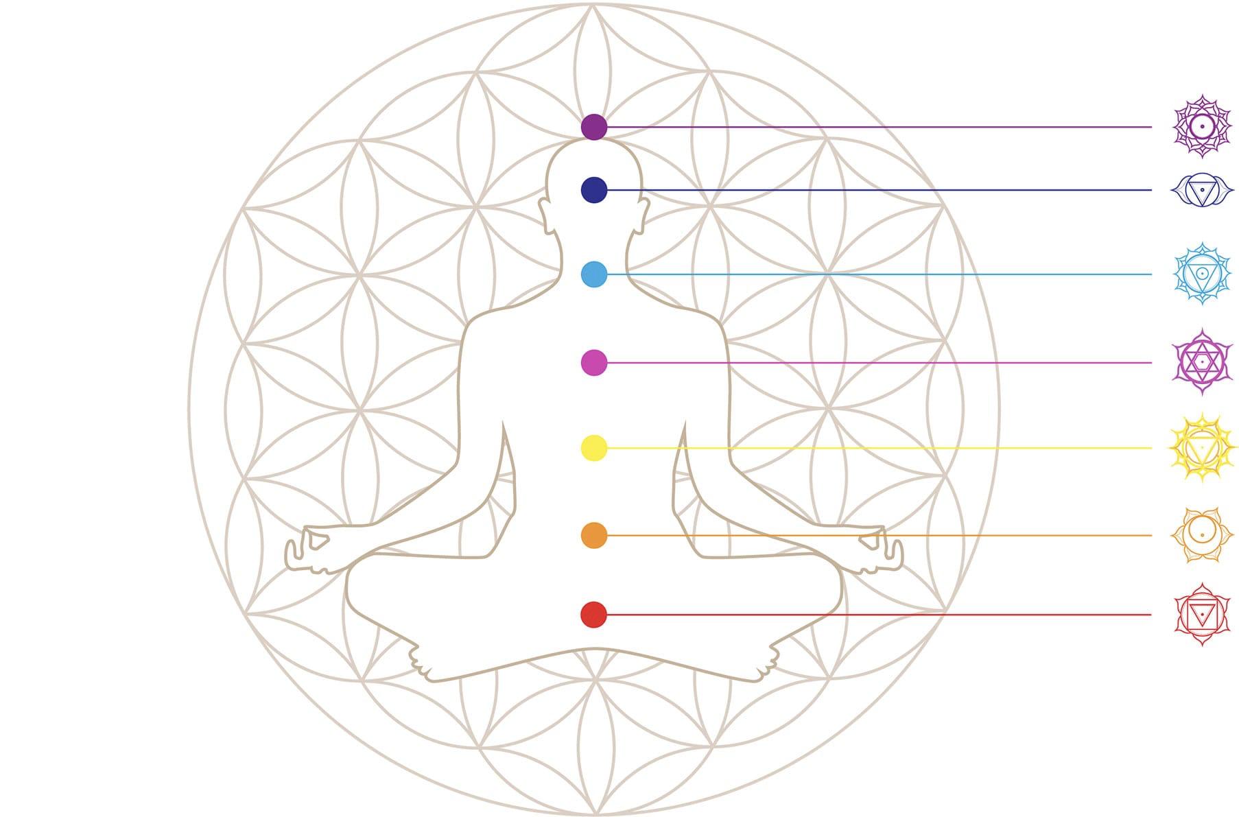 Illustration des positions des chakras sur le corps
