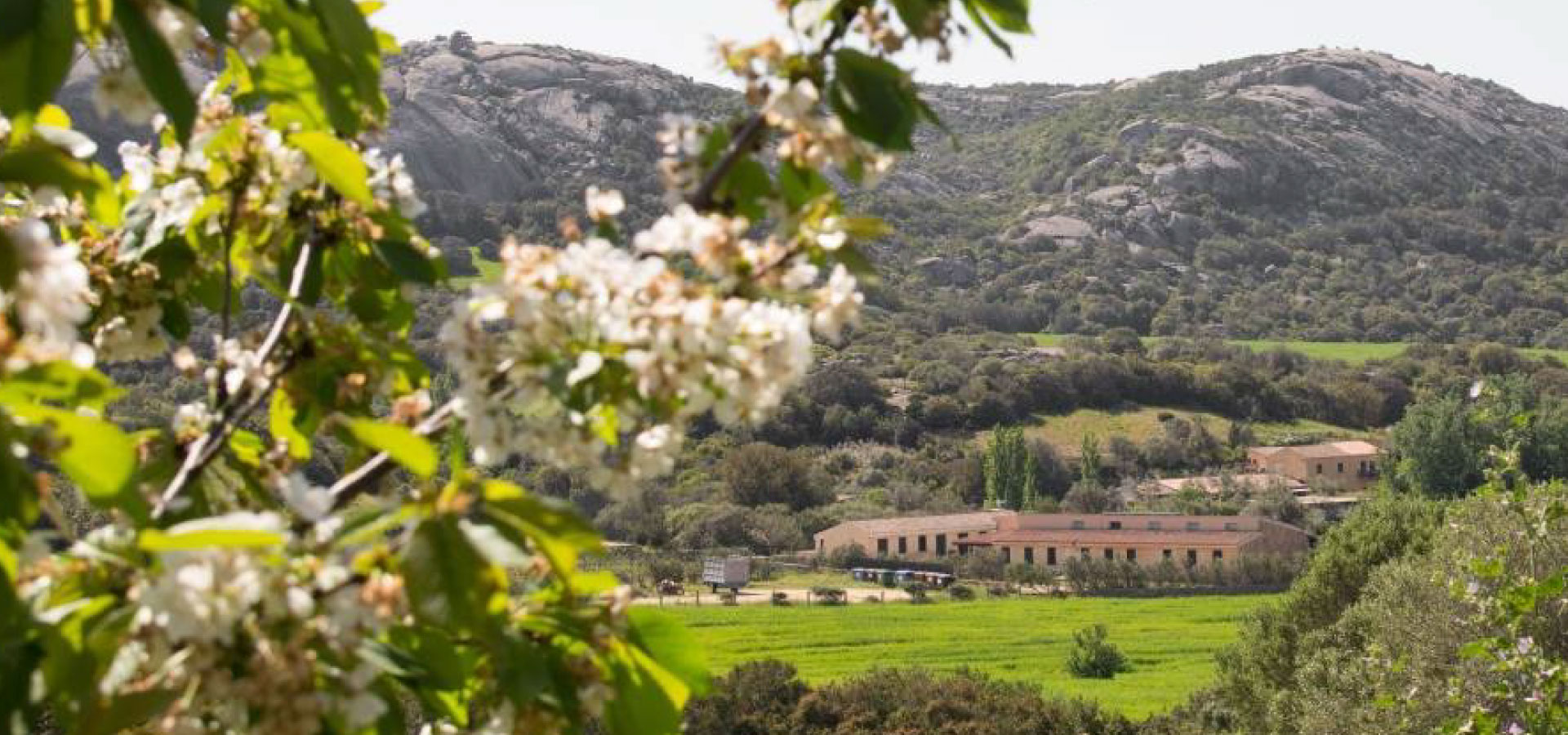 Sardaigne - Lu Branu